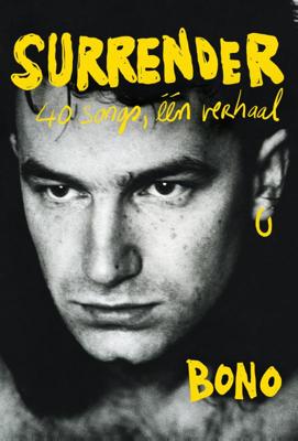 Surrender (Hardback)