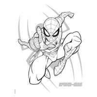 Deltas Marvel spider-man color kleurblok Deltas Marvel spider-man color kleurblok