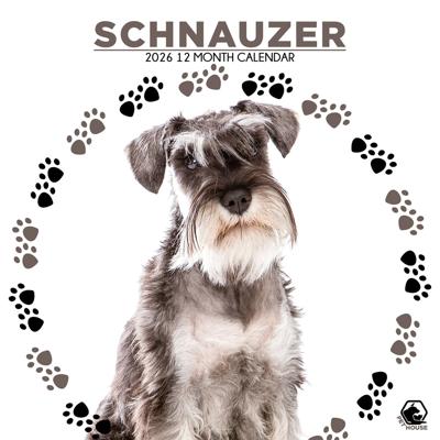 Schnauzer Kalender 2026