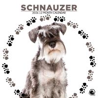 Schnauzer Kalender 2026