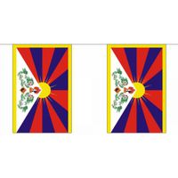 Polyester vlaggenlijn Tibet 9 m   -