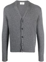 AMI Paris cardigan en laine mérinos à col v - Gris