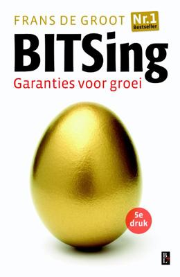 Bitsing (Paperback)