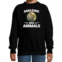 Sweater jachtluipaarden amazing wild animals / dieren trui zwart voor kinderen