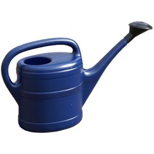 Gieter met broeskop - blauw - kunststof - 5 liter - 43 cm