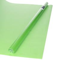 Bellatio decorations Inpakpapier - groen - unikleur - 200x70 cm - cadeaupapier