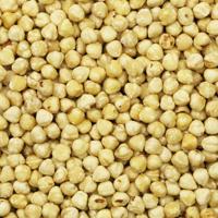 Hazelnoten wit ongebrand (bio) 450 gram