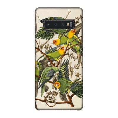 Carolinaparkiet: Samsung Galaxy S10 4G Volledig Geprint Hoesje Carolinaparkiet: Samsung Galaxy S10 4G Volledig Geprint Hoesje