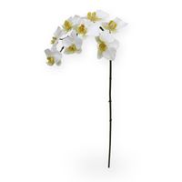 Phalaenopsis Orchidee kunstplant 80 cm wit