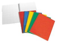 Schrift aurora 80x135mm ruit 5mm 200pag ass