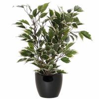 Groen/witte ficus kunstplant 40 cm met plantenpot zwart D13.5 en H12.5 cm - Kunstplanten - thumbnail