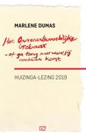 Het onverantwoordelijke gebaar-of ga terug naar waar je vandaan komt (Paperback)