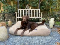 Dog's Companion® Hondenbed lever double ribcord