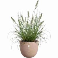 Bloempot - ELHO - Sereh Rond 30 - Bruin - L 30 x B 29,5 x H 25 cm - 100% gerecycled