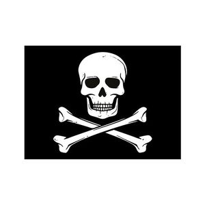 Piraten thema stickers 7.5 x 10 cm   -