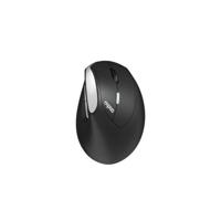 Draadloze muis - RAPOO - EV250 - Ergonomisch - 1600 DPI - Stille klik