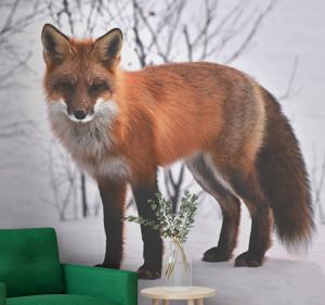 Dieren fotobehang vos in de sneeuw