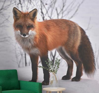 Dieren fotobehang vos in de sneeuw