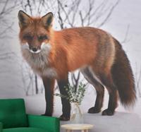Dieren fotobehang vos in de sneeuw