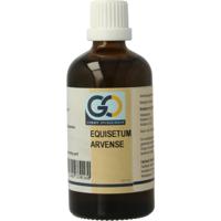 GO Equisetum arvense bio GO Equisetum arvense bio