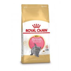 Royal Canin British Shorthair Kitten droogvoer voor kat 2 kg Katje Gevogelte, Rijst, Groente