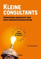 Kleine consultants - Bas Warmerdam - ebook