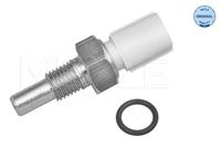 Temperatuursensor 31148210001