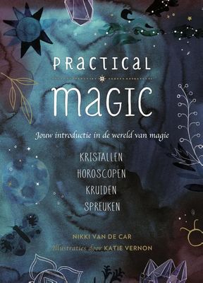 Practical Magic - Nikki Van De Car - ebook
