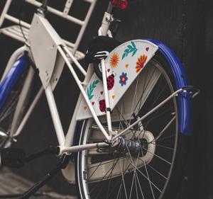 Fietssticker lieverheersbeestjes