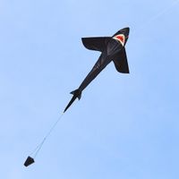 Ecoline Vlieger Shark Kite 5 Spanwijdte 1500 mm - thumbnail