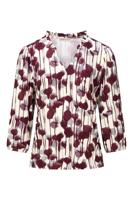 Dreamstar Top W25 143 Gemma
