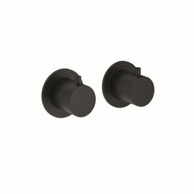 Crosswater MPRO Module Douchekraan - 2 functies - zwart mat PROMODDIVLBPM