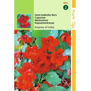 Hortitops - 2 stuks Tropaeolum Majus Nanum Empress Of India