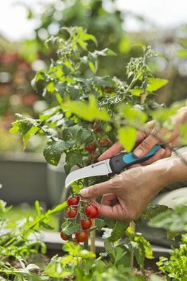 Gardena VeggieCut snoeischaar Zwart, Groen