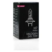 Gloeilamp M-Tech Z904 24v 70W H7
