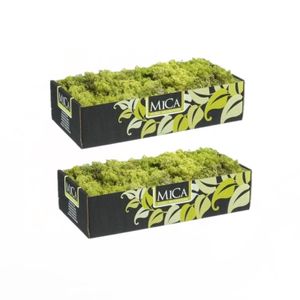 3x pakjes decoratie/hobby mos lichtgroen 500 gram