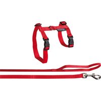 Kattentuigje met Lijn Classic Grote Kat Rood 35 - 56 cm x 12 mm Flamingo Rood - thumbnail