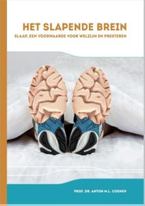 Het slapende brein (Hardback)