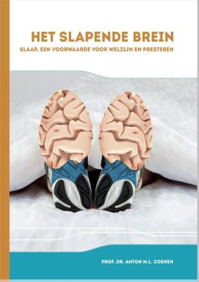 Het slapende brein (Hardback)