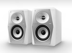 Pioneer DJ VM-50-W actieve DJ-monitor (per stuk)