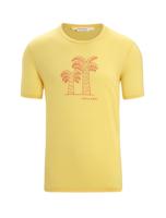 Icebreaker Tech Lite II Giant Ferns Heren T-shirt Summer L