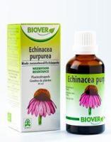 Biover Echinapurpurea tinctuur bio