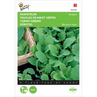 Raapsteel Groene Gewone