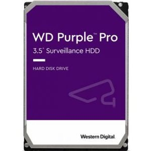 Western Digital WD101PURP interne harde schijf 3.5
