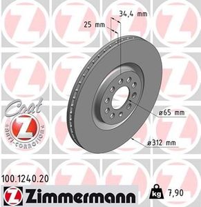 Remschijf Coat Z 100124020