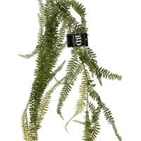 Bellatio Design kunstplant/hangplant slinger - Varen/Monilophyta - groen - 180 cm Bellatio Design kunstplant/hangplant slinger - Varen/Monilophyta - groen - 180 cm