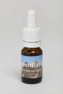 Pyramides van Gizes