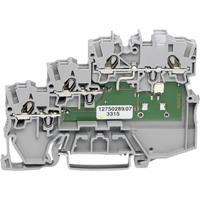 WAGO 2000-5310/1101-951 Actuatorenklem 7 mm Spanveer Grijs 50 stuk(s)