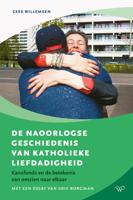 De naoorlogse geschiedenis van katholieke liefdadigheid - Cees Willemsen - ebook