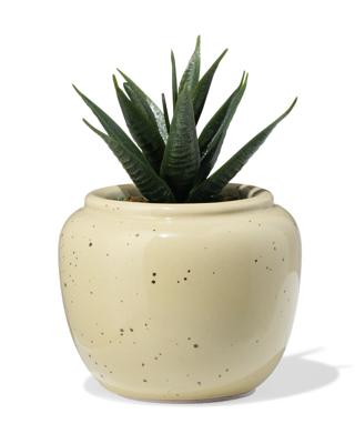 051 Bloempot ⌀7x6.6cm Keramiek Spikkels Beige (wit)